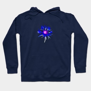 cornflower Hoodie